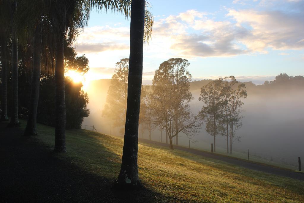 Hillcrest Mountain View Retreat Bed & Breakfast Crystal Creek Luaran gambar