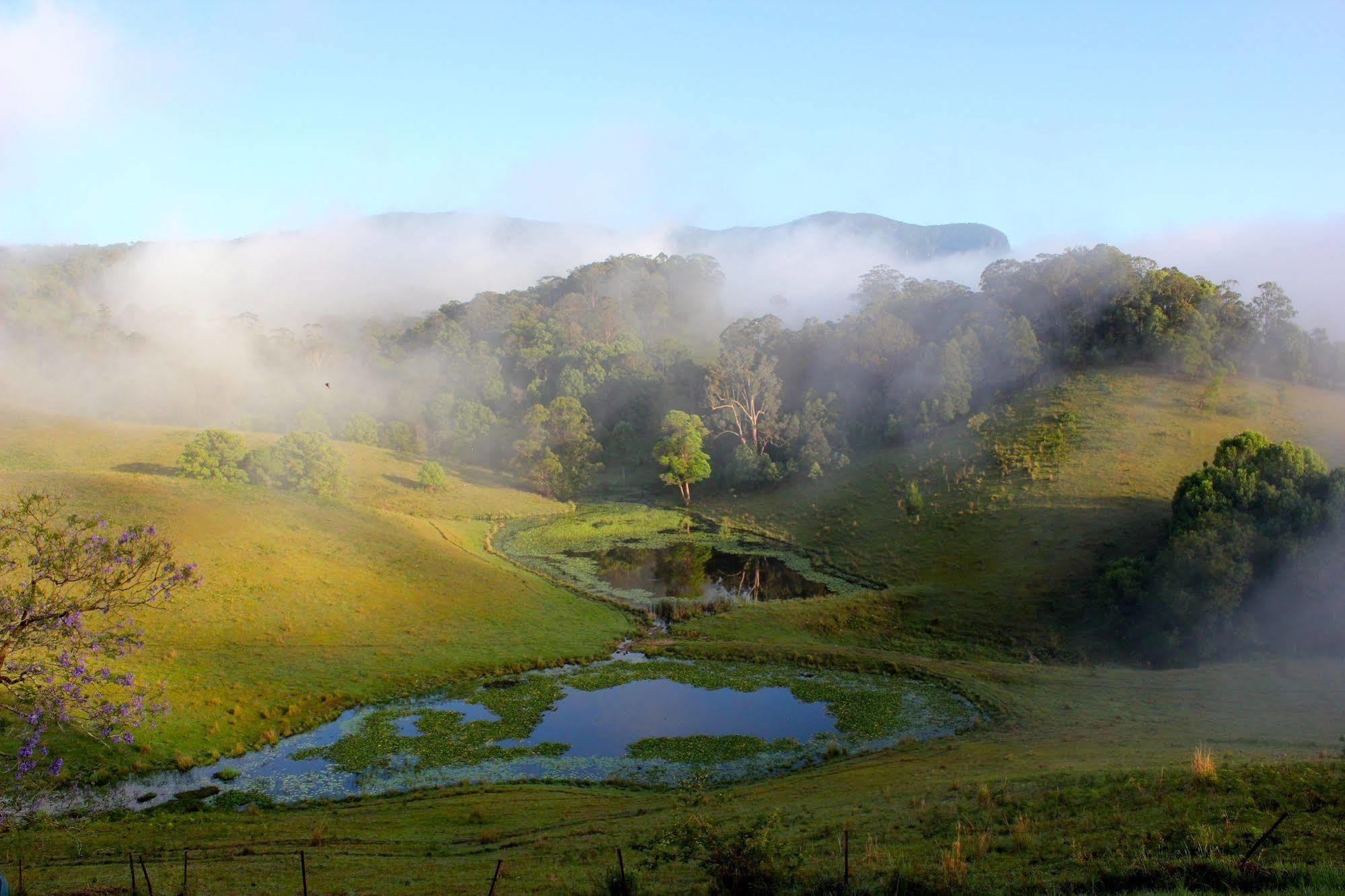 Hillcrest Mountain View Retreat Bed & Breakfast Crystal Creek Luaran gambar