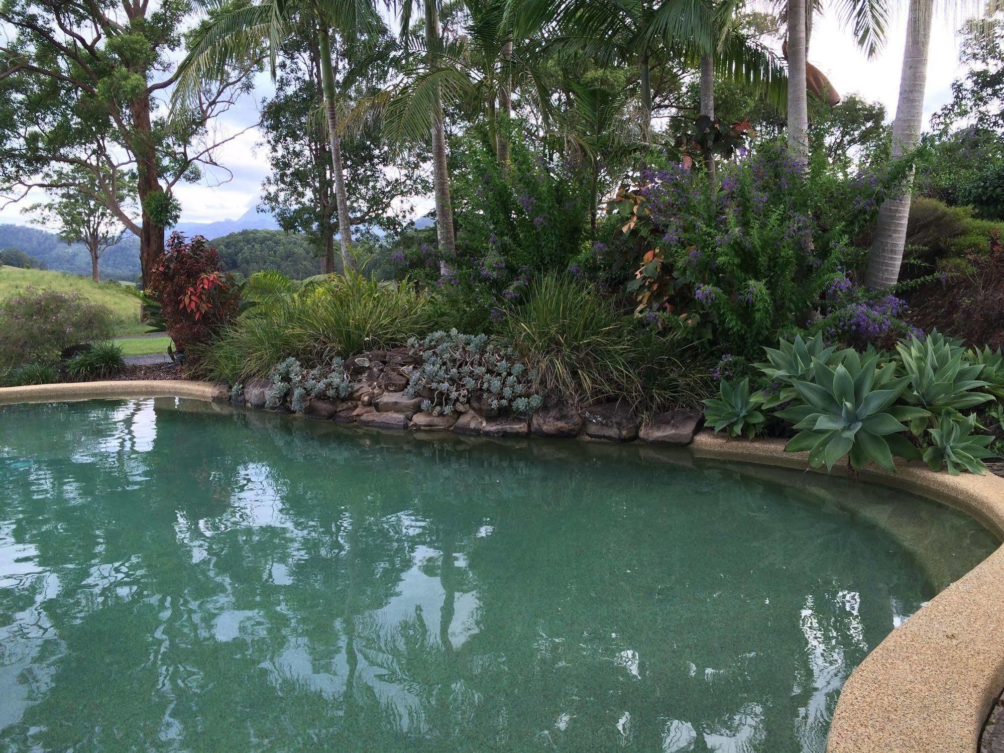 Hillcrest Mountain View Retreat Bed & Breakfast Crystal Creek Luaran gambar